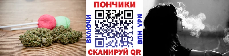 Cannafood конопля  мега ссылка  Протвино  наркота 