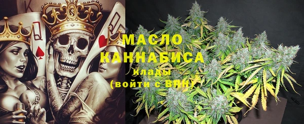 крисы Няндома