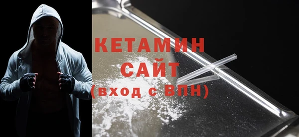 крисы Няндома
