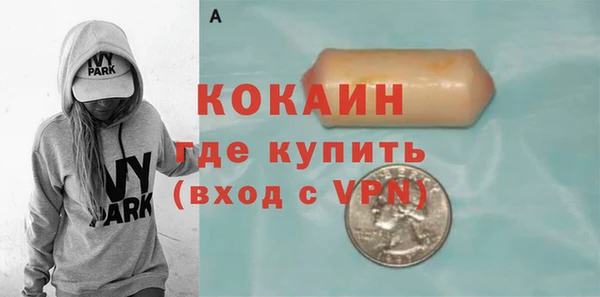 крисы Няндома