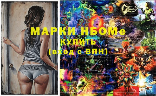 крисы Няндома