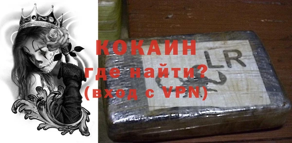 крисы Няндома