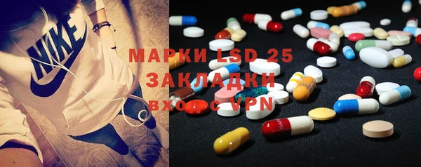 крисы Няндома
