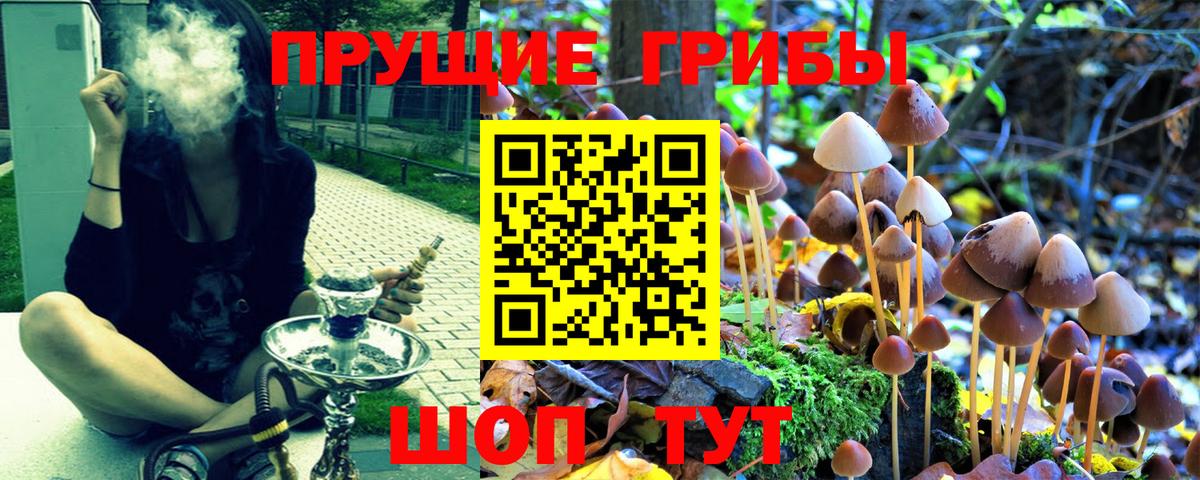 цена   Псилоцибиновые грибы ЛСД  Вход с VPN  Протвино  Галлюциногенные грибы Psilocybe 