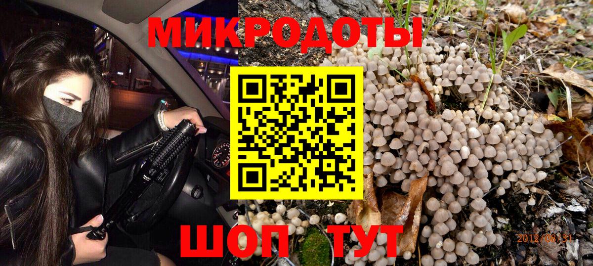 Псилоцибиновые грибы Psilocybe Протвино