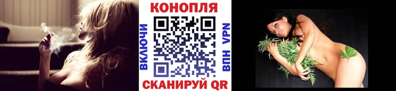 kraken как зайти  Протвино  Марихуана сатива 